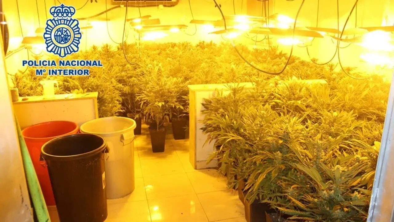 Cultivo de marihuana 'indoor' desmantelado en Almer&iacute;a