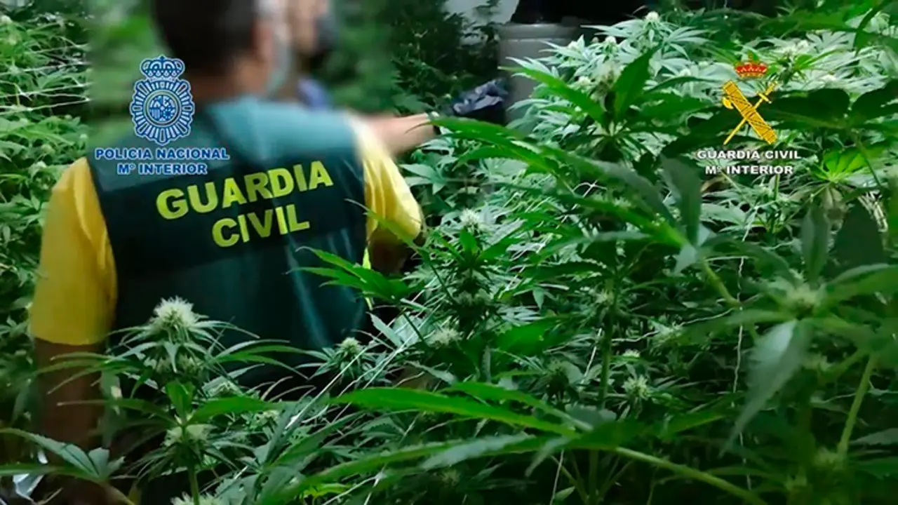 Desarticulado un grupo criminal dedicado al tr&aacute;fico de estupefacientes entre Pa&iacute;ses Bajos y Espa&ntilde;a