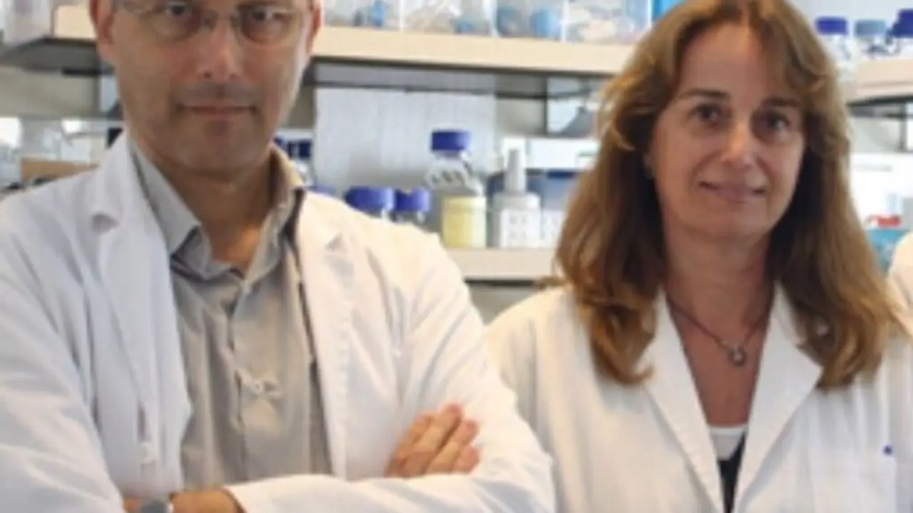 Investigadores