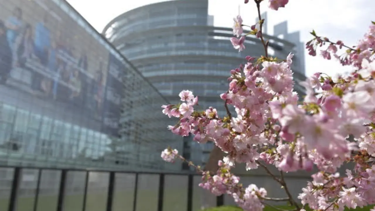 Archivo - Sede del Parlamento Europeo en Estrasburgo.