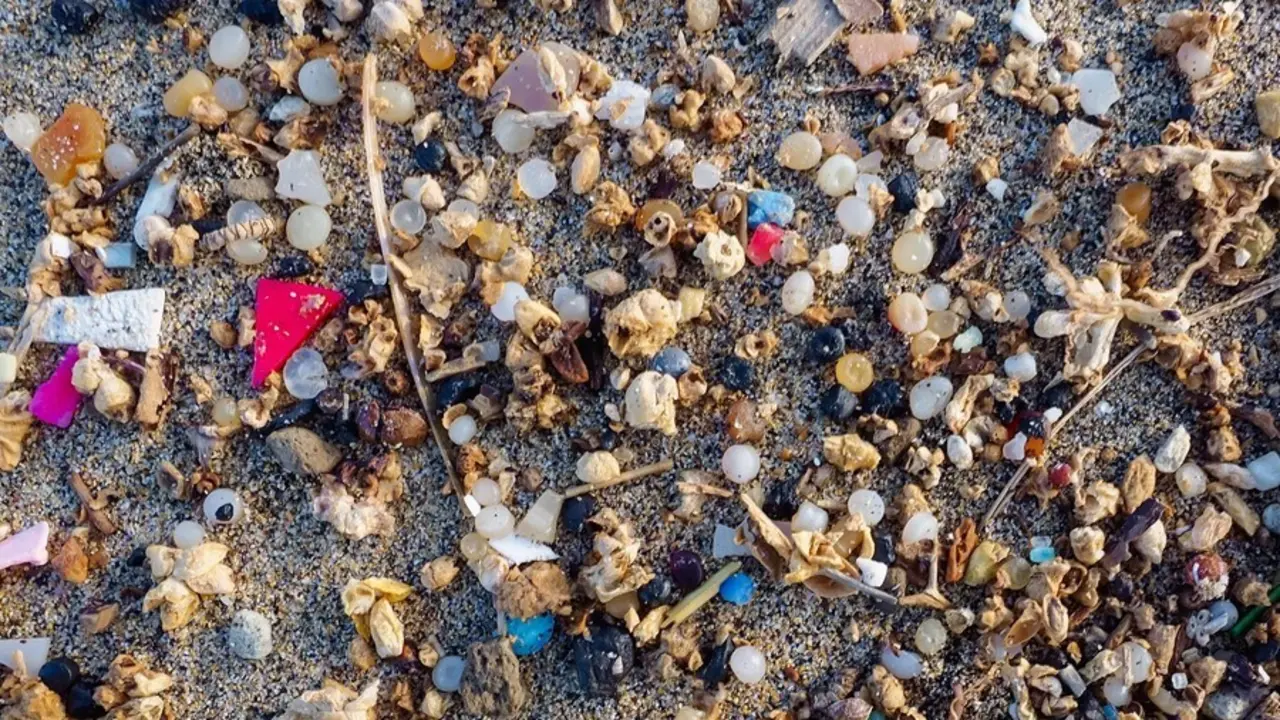 Un estudio de la Universitat Rovira i Virgili (URV) muestra los efectos de los micropl&aacute;sticos en las membranas celulares