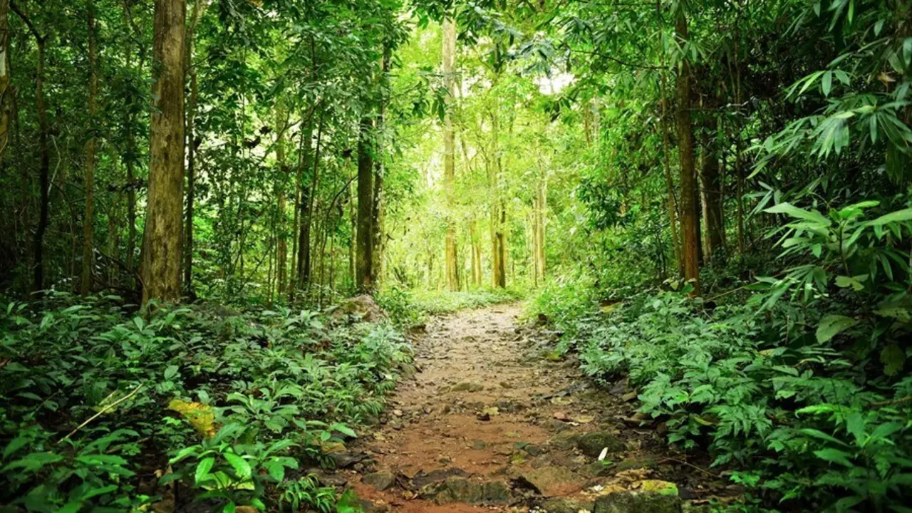 Biodiversidad