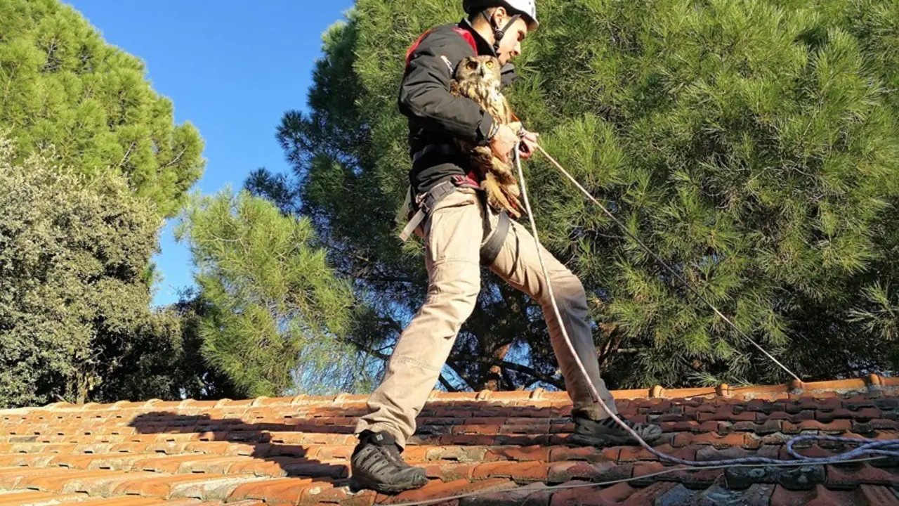 Fundaci&oacute;n Montemadrid y CaixaBank apoyar&aacute;n 12 proyectos en defensa de la biodiversidad en Madrid