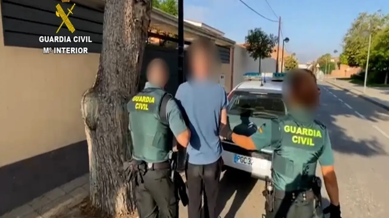 Cae una banda con once detenidos que cultivaba marihuana en Alicante para exportarla al extranjero