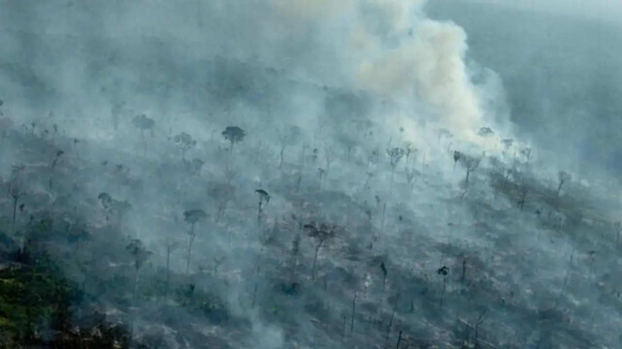 Burnt spots in a recently deforested area, registered by Deter 2021 and Prodes 2019, in Apu&iacute;, Amazonas state.Every year, Greenpeace Brazil