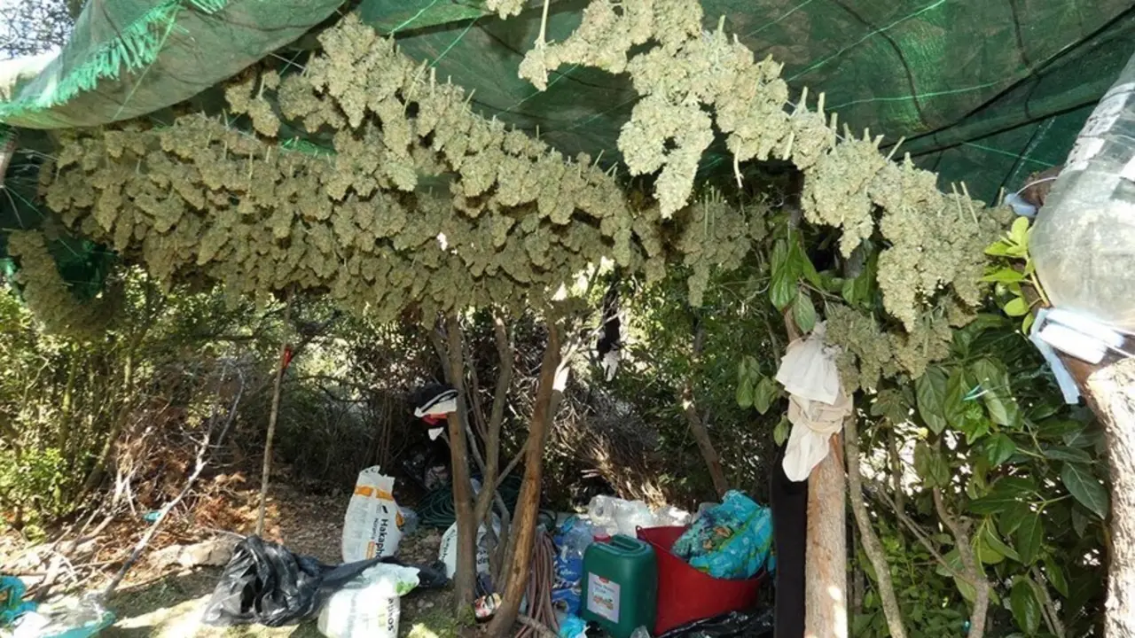Espacio en que habitaban los jardineros y en que se preparaba la droga en una de las plantaciones.