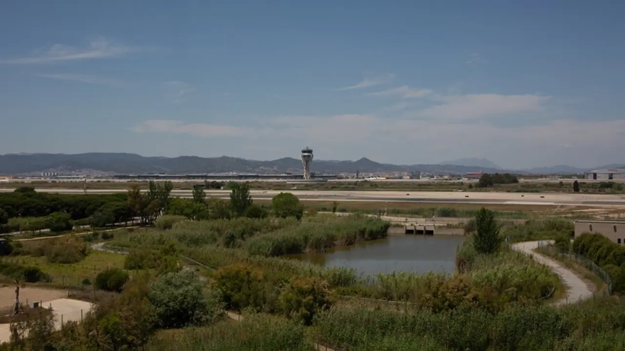Archivo - El aeropuerto de de Josep Tarradellas Barcelona-El Prat, cerca del espacio protegido natural de La Ricarda, a 9 de junio de 2021, en El Prat de Llobregat, Barcelona, Catalu&ntilde;a (Espa&ntilde;a). 