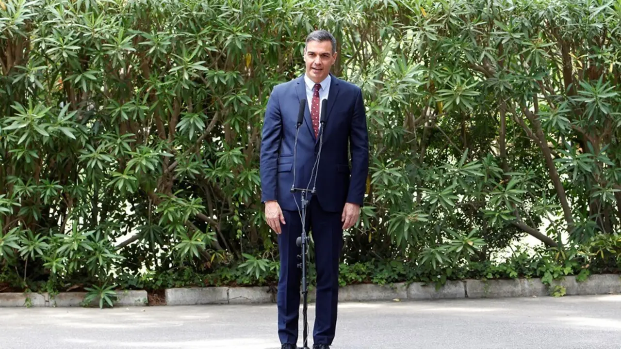 El presidente del Gobierno, Pedro S&aacute;nchez