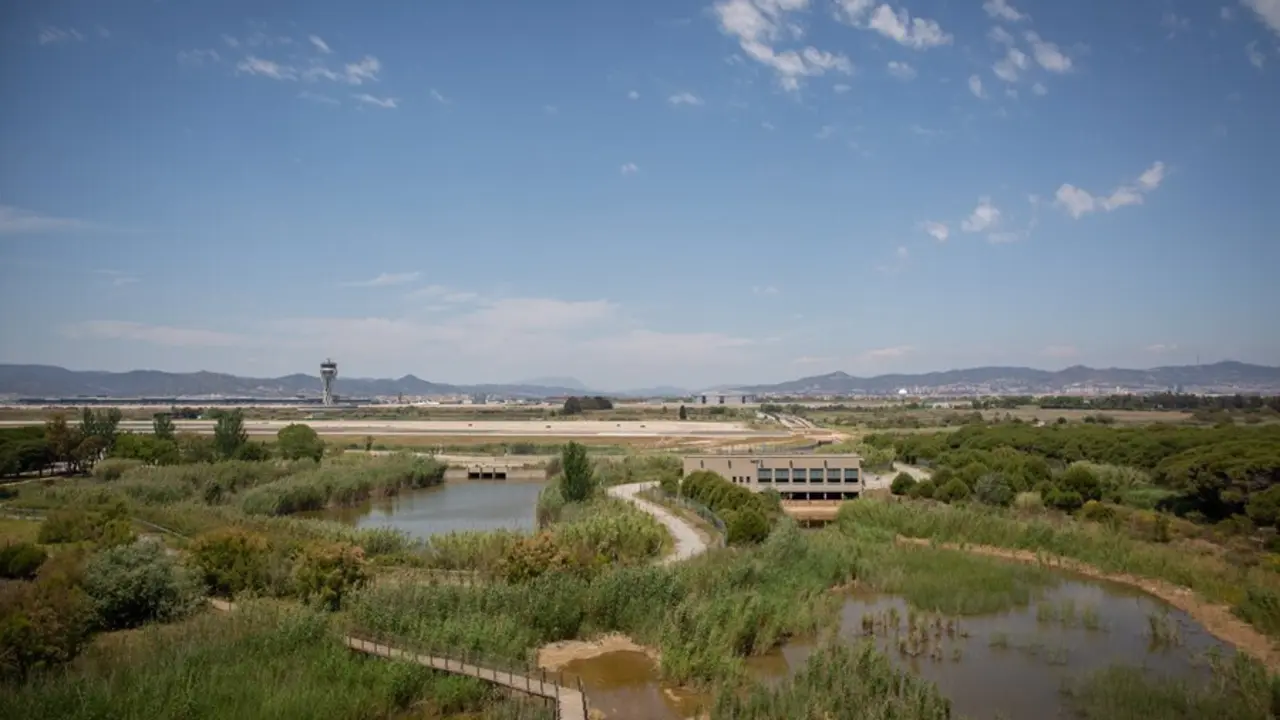 Archivo - El aeropuerto de de Josep Tarradellas Barcelona-El Prat, cerca del espacio protegido natural de La Ricarda, a 9 de junio de 2021, en El Prat de Llobregat, Barcelona, Catalunya (Espa&ntilde;a). 