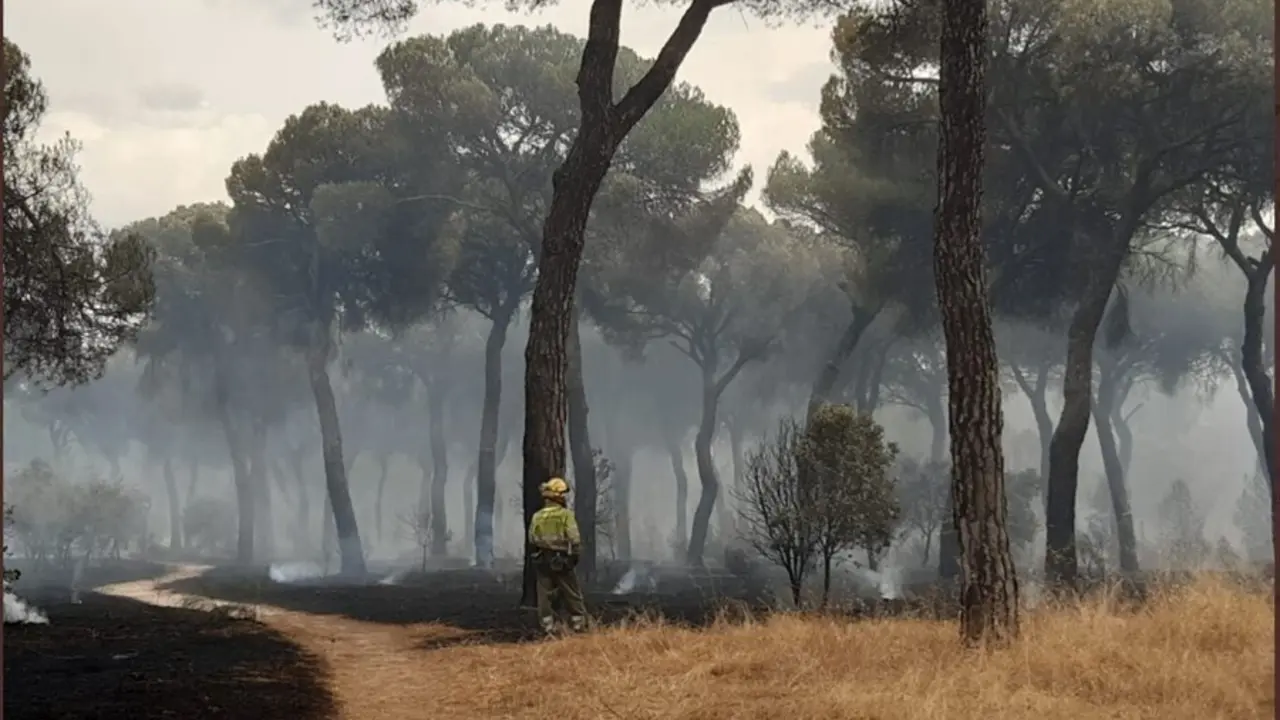 Una imagen de un bombero en el incendio de El Tiemblo.