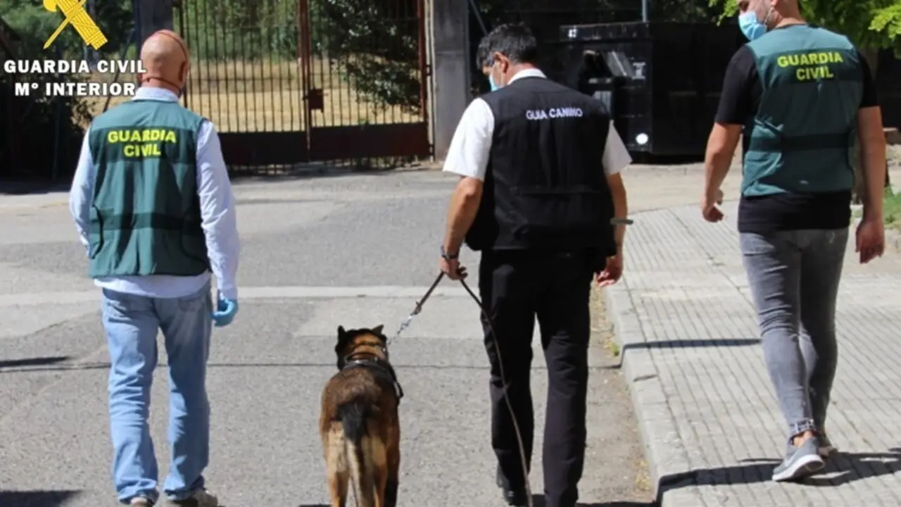 Agentes que han participado en la operaci&oacute;n 'Troppo'.