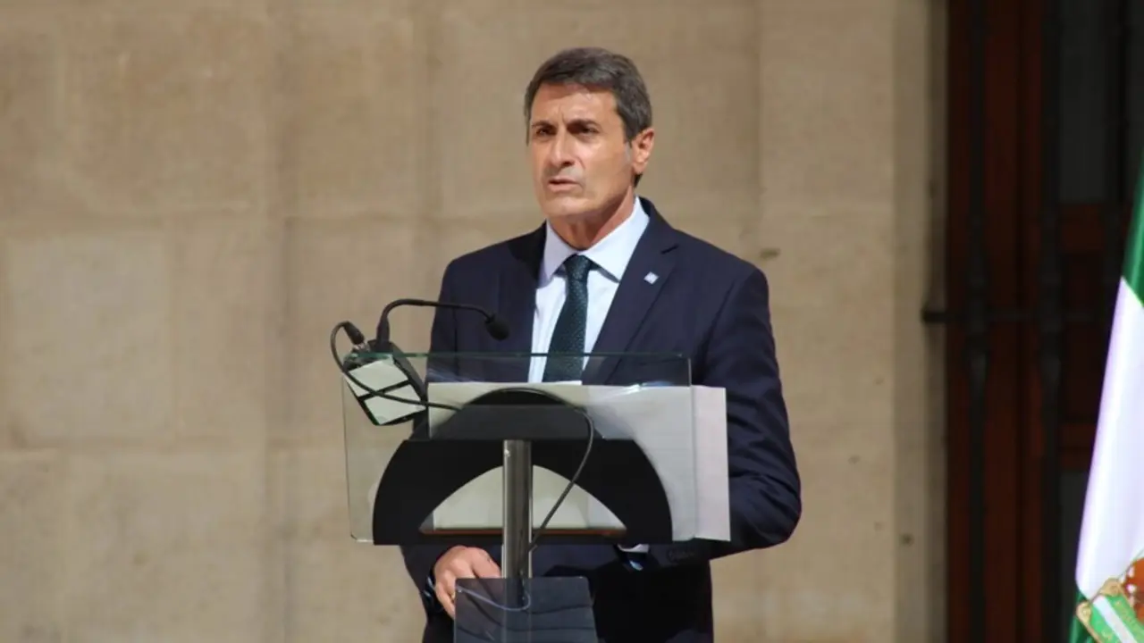 El delegado del Gobierno en Andaluc&iacute;a, Pedro Fern&aacute;ndez.