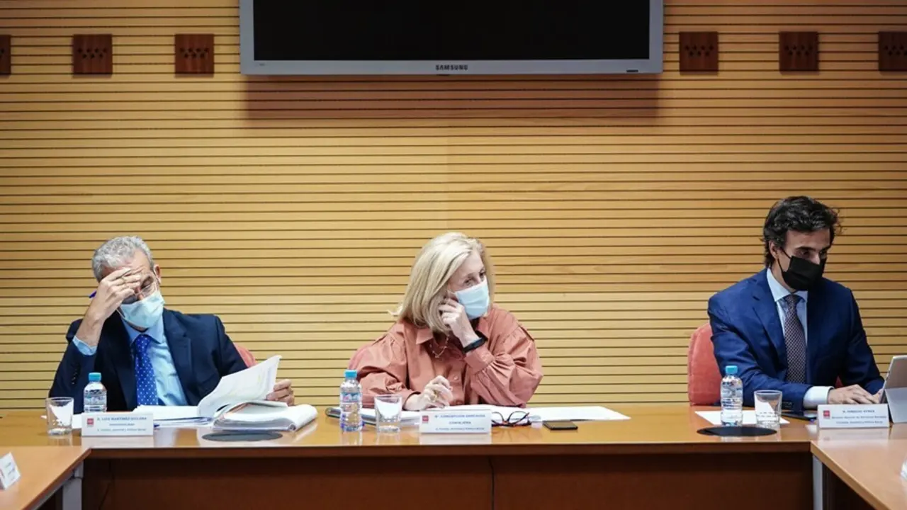 La consejera de Familia, Juventud y Pol&iacute;tica Social de la Comunidad de Madrid, Concepci&oacute;n Dancausa.
