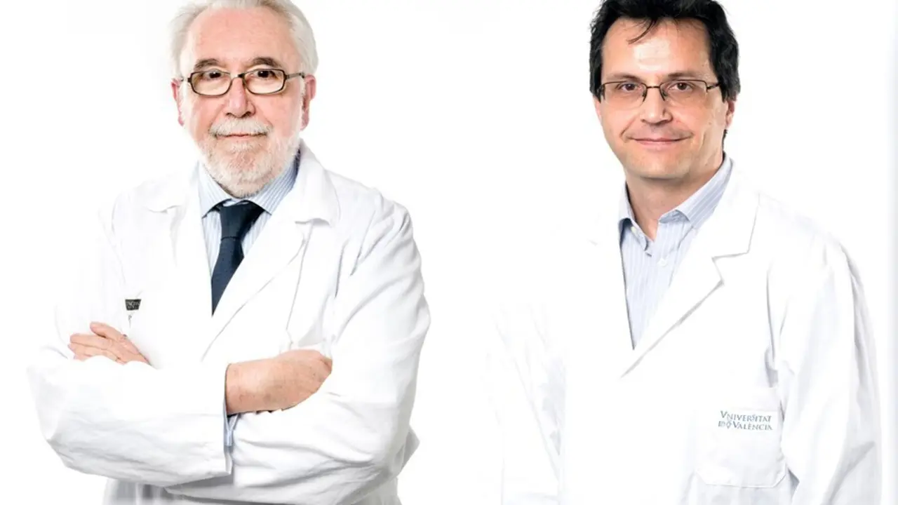 Investigadores del INCLIVA