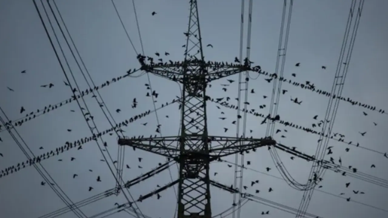 Tendido el&eacute;ctrico.