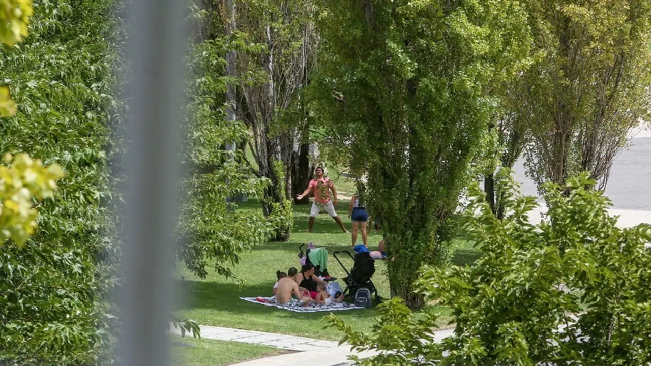 Varias personas hacen picnic en el parque de Madrid R&iacute;o, a 11 de agosto de 2021, en Madrid (Espa&ntilde;a). La primera ola de calor del verano deja temperaturas muy altas en Espa&ntilde;a desde este mi&eacute;rcoles y hasta comienzos de la pr&oacute;xima semana. Las temperaturas alc