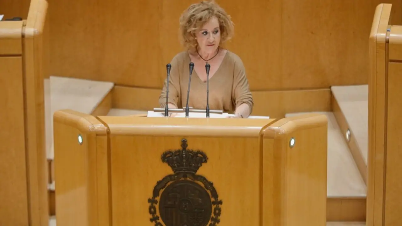 Archivo - La senadora de Vox Yolanda Merelo, en una sesi&oacute;n plenaria en la C&aacute;mara Alta.