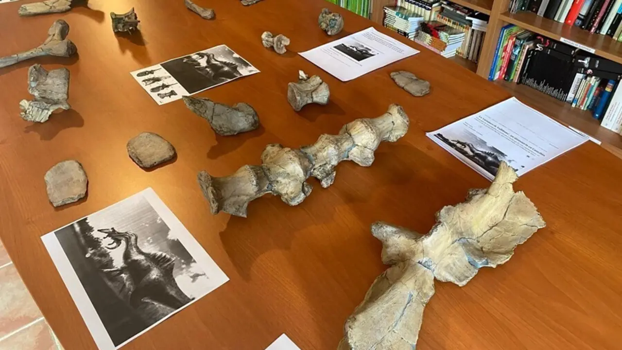 Huesos de dinosaurio en Vallibona