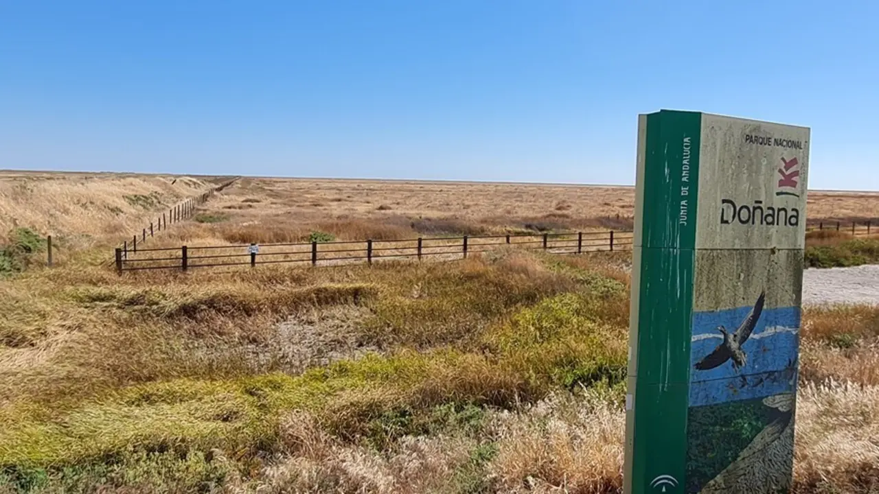 Parque Nacional de Do&ntilde;ana (Huelva).