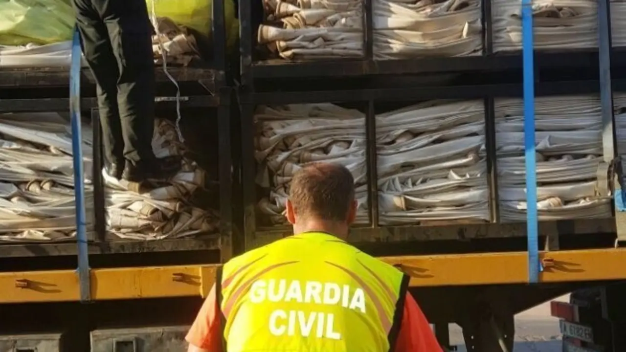 Personas auxiliadas por la Guardia Civil en intentos por llegar al pa&iacute;s en camiones llegados al puerto