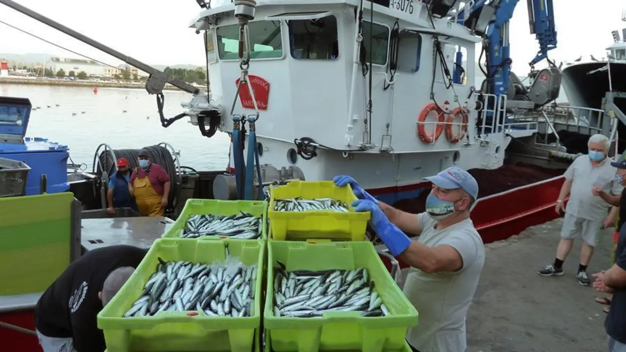Los cerqueros han desembarcado a primera hora en el puerto de Santo&ntilde;a los &uacute;ltimos kilos de bocarte (anchoa) antes del cierre definitivo, este mediod&iacute;a, de la costera tras agotarse el cupo de 27.000 toneladas otorgado a Espa&ntilde;a y ampliado en un 5 por ciento con la cuota de la pr&oacute;xima temporada. EFE/Miguel Ramos