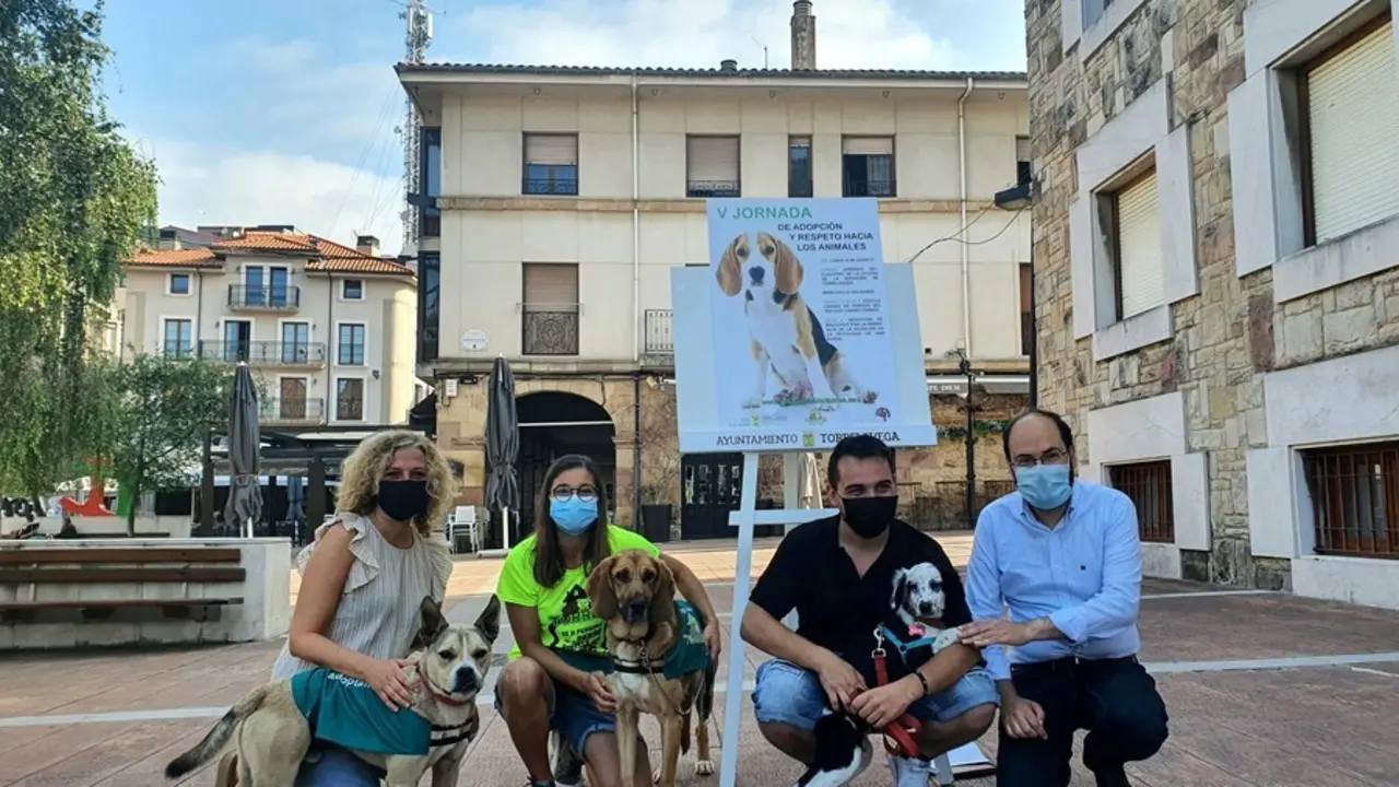 Feria adopci&oacute;n animales.
