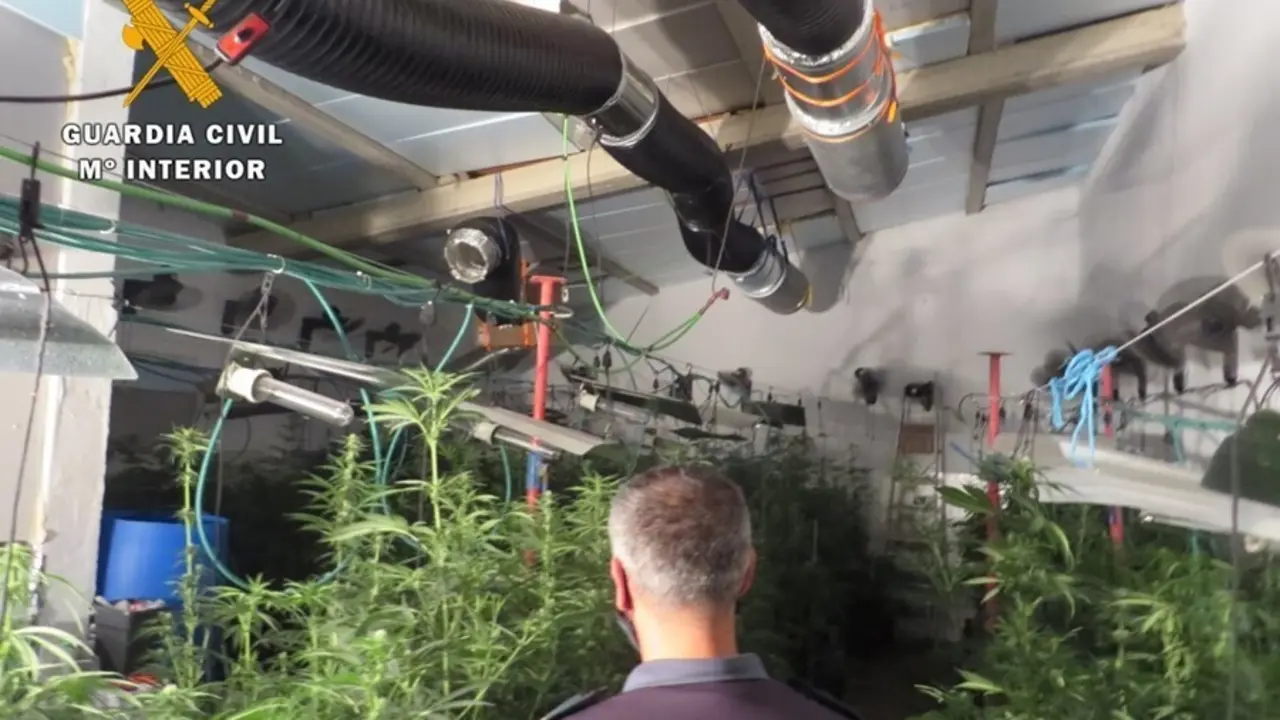Nave indoor de cultivo de marihuana.