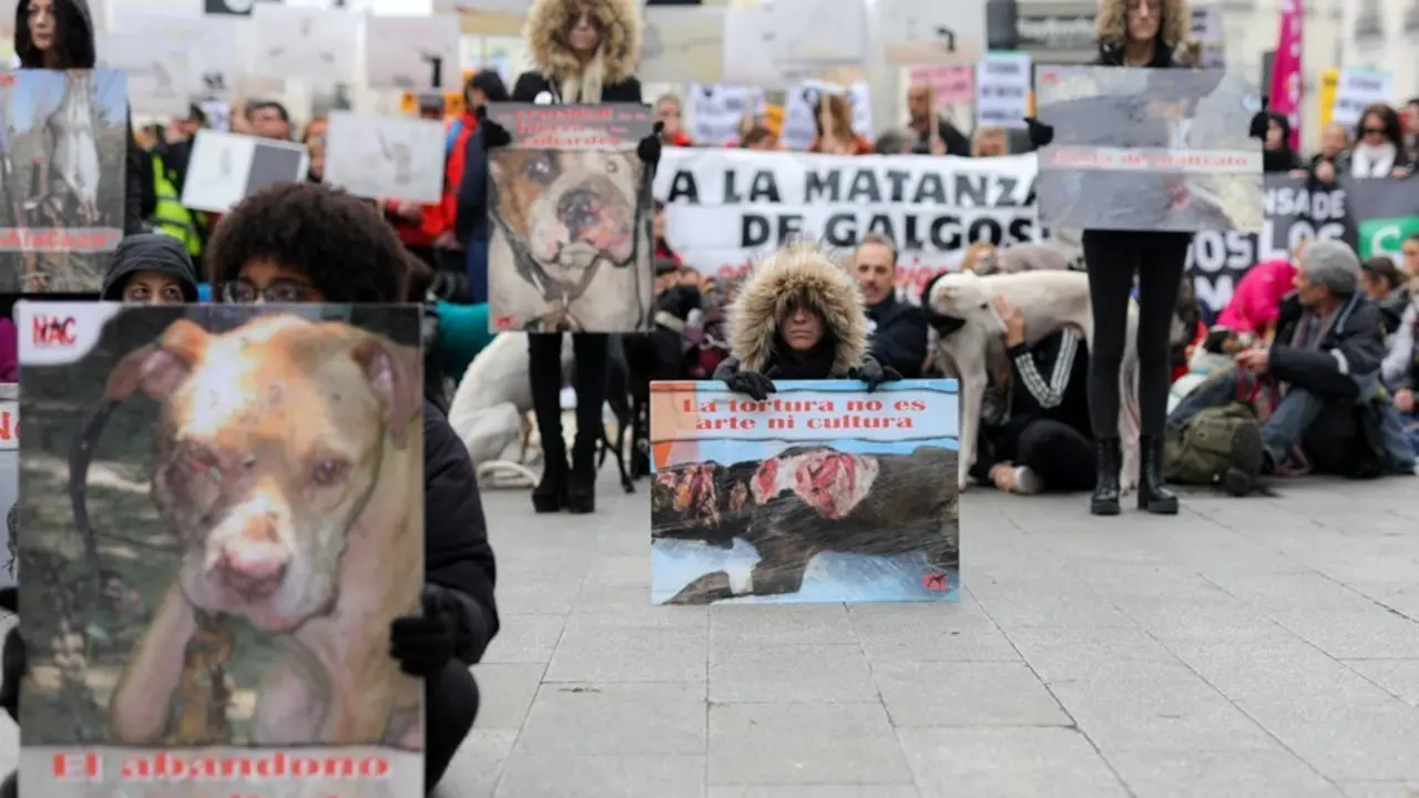 Archivo - Participantes en la manifestaci&oacute;n en Madrid "contra la caza, el maltrato, el abandono y la matanza" de perros de caza sostienen carteles, en Madrid (Espa&ntilde;a) a 2 de febrero de 2020.