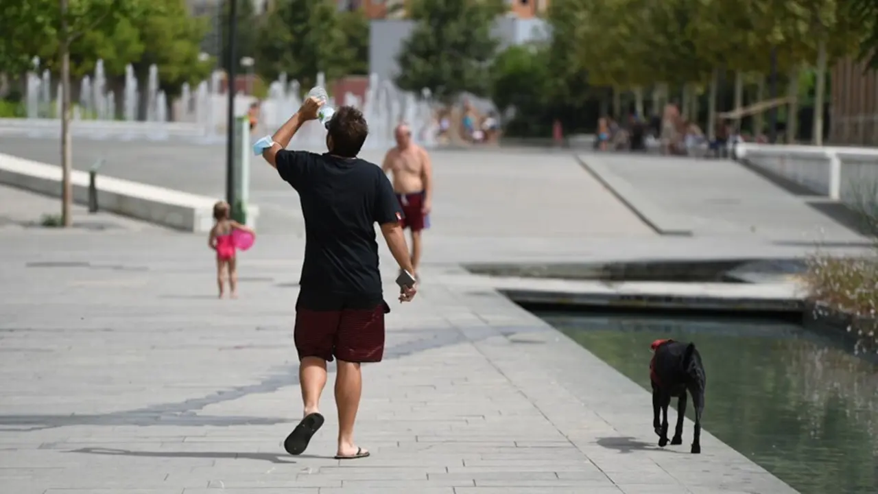 Un hombre pasea con su perro en el Parc Central, a 12 de agosto de 2021, en Valencia, Comunidad Valenciana (Espa&ntilde;a). 