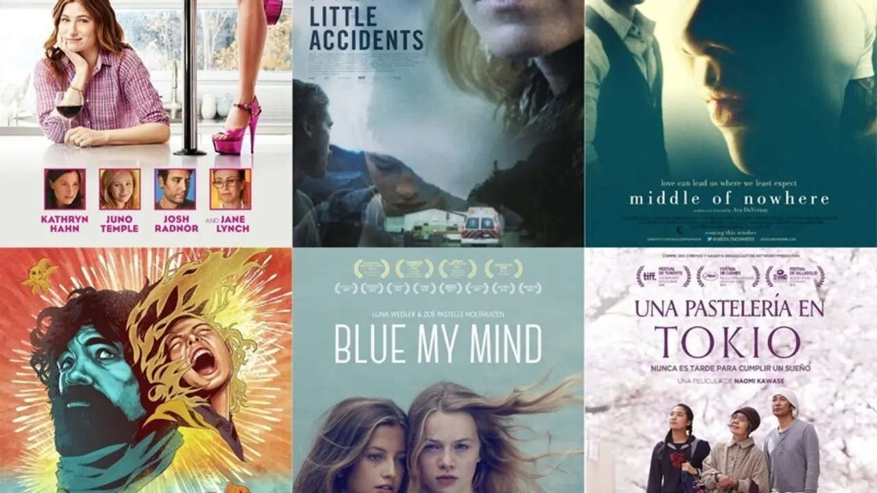 Las seis pel&iacute;culas del ciclo 'Creadoras'.