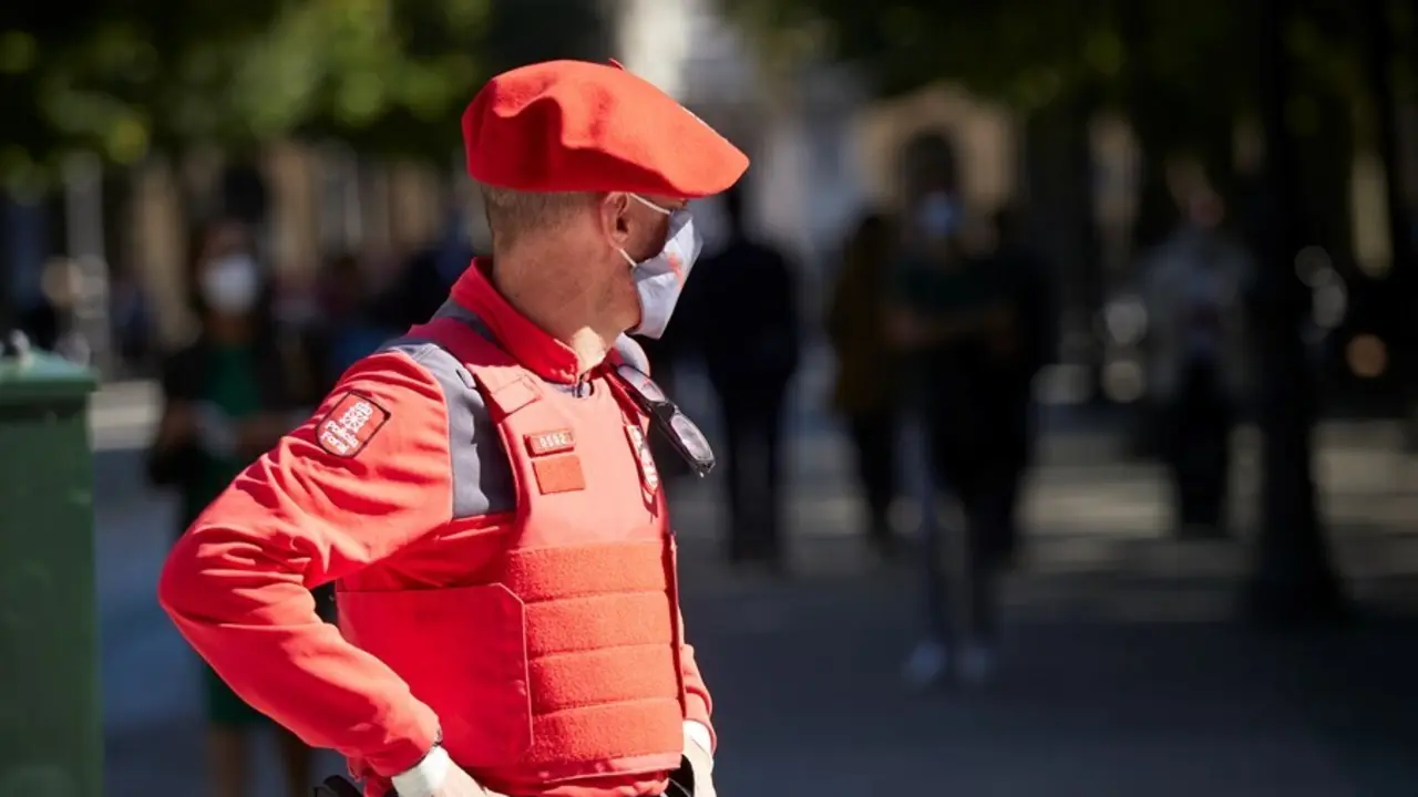 Un agente de la Polic&iacute;a Foral.