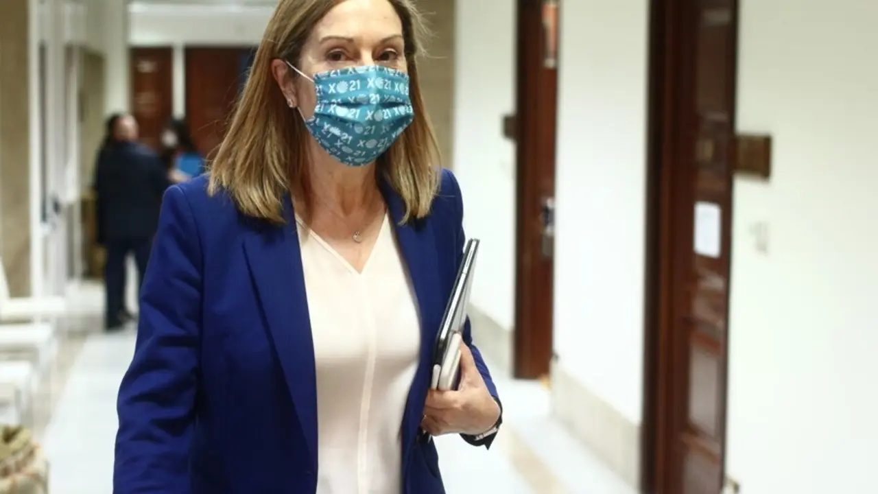 Archivo - La vicesecretaria de Pol&iacute;tica Social del PP, Ana Pastor .