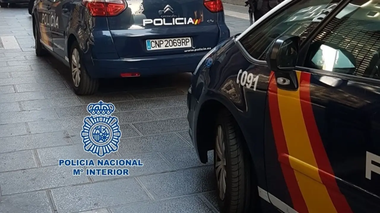 Archivo - Agentes de la Polic&iacute;a Nacional junto a dos coches patrulla