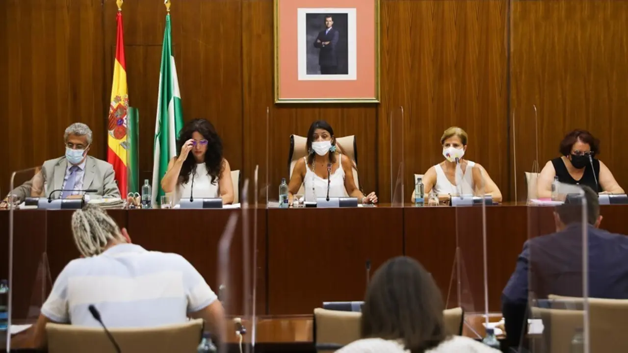 Imagen de este martes de la reuni&oacute;n de la Diputaci&oacute;n Permanente del Parlamento de Andaluc&iacute;a, en el momento de la comparecencia de la consejera de Igualdad, Roc&iacute;o Ruiz.