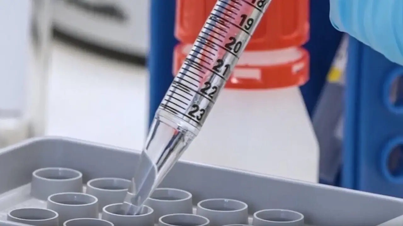Nuevo m&eacute;todo para la detecci&oacute;n de SARS-COV-2 desarrollado por la UBU.