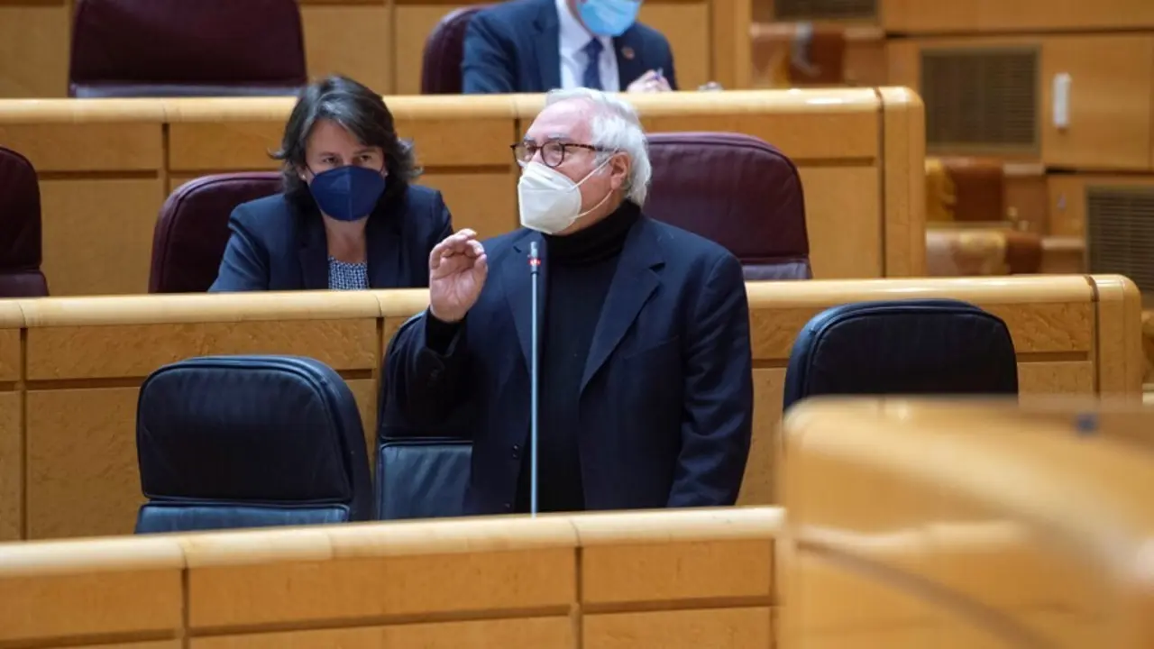 Archivo - El ministro de Universidades, Manuel Castells, durante una sesi&oacute;n de control al Gobierno en el Senado.
