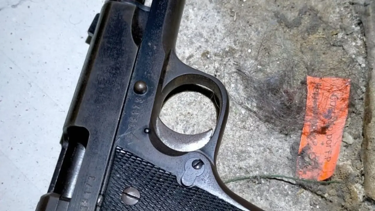 Imagen del arma intervenida