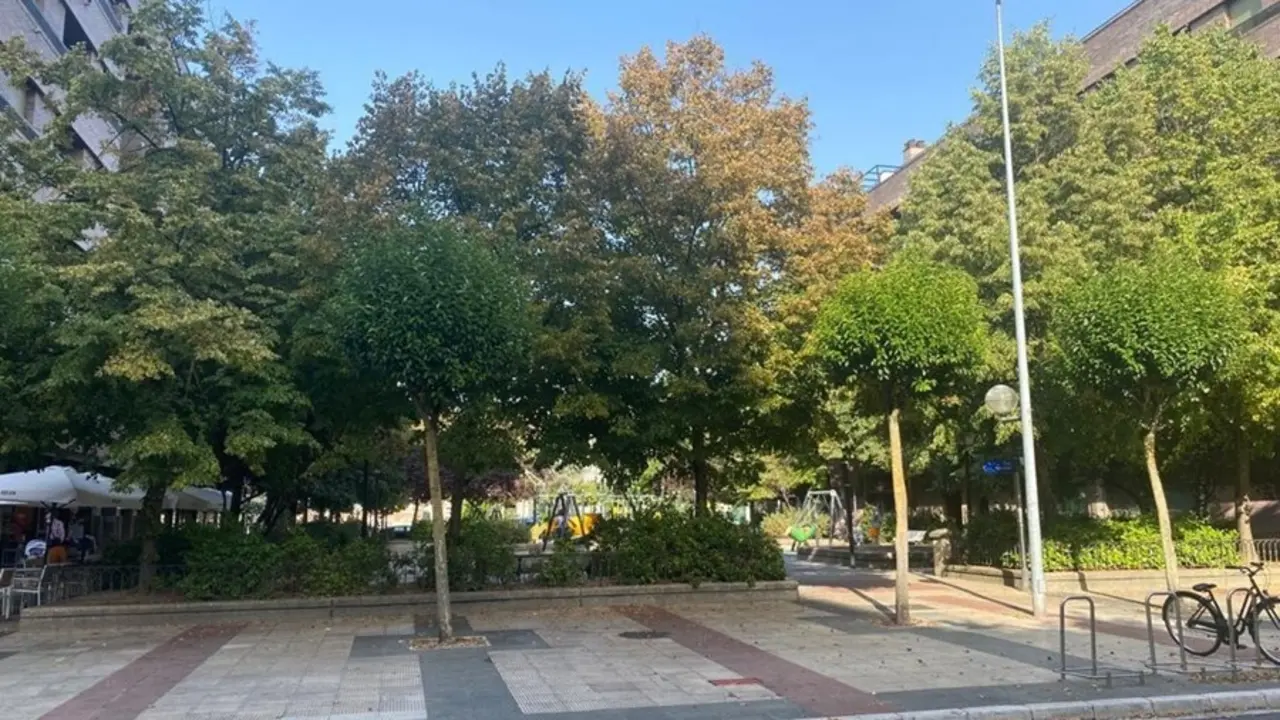 Vitoria soleada