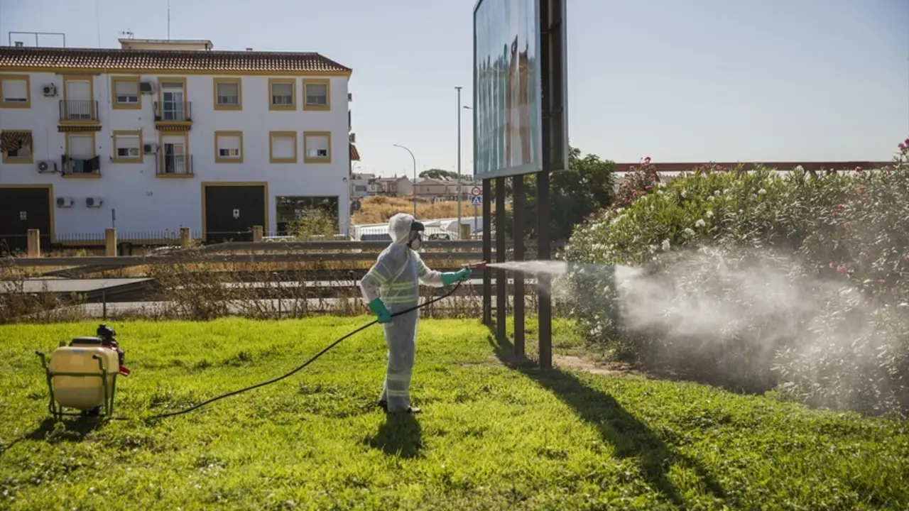Archivo - Un trabajador durante las labores de fumigaci&oacute;n contra los mosquitos causantes del virus del Nilo en Coria del R&iacute;o
