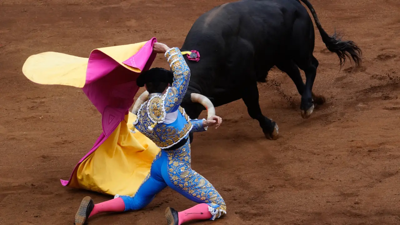 Coso de Cuatro Caminos durante las Ferias de Santander 2021. / Hardy
