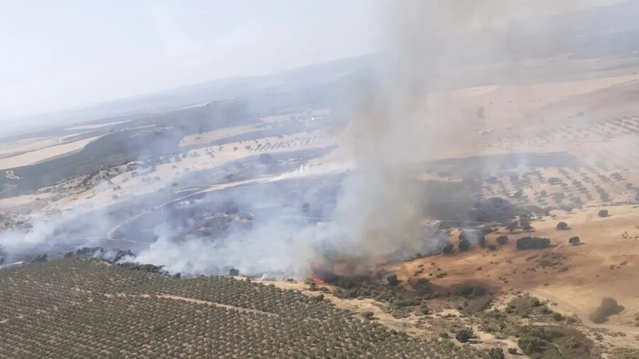 Incendio forestal en un paraje de Guadalc&aacute;zar