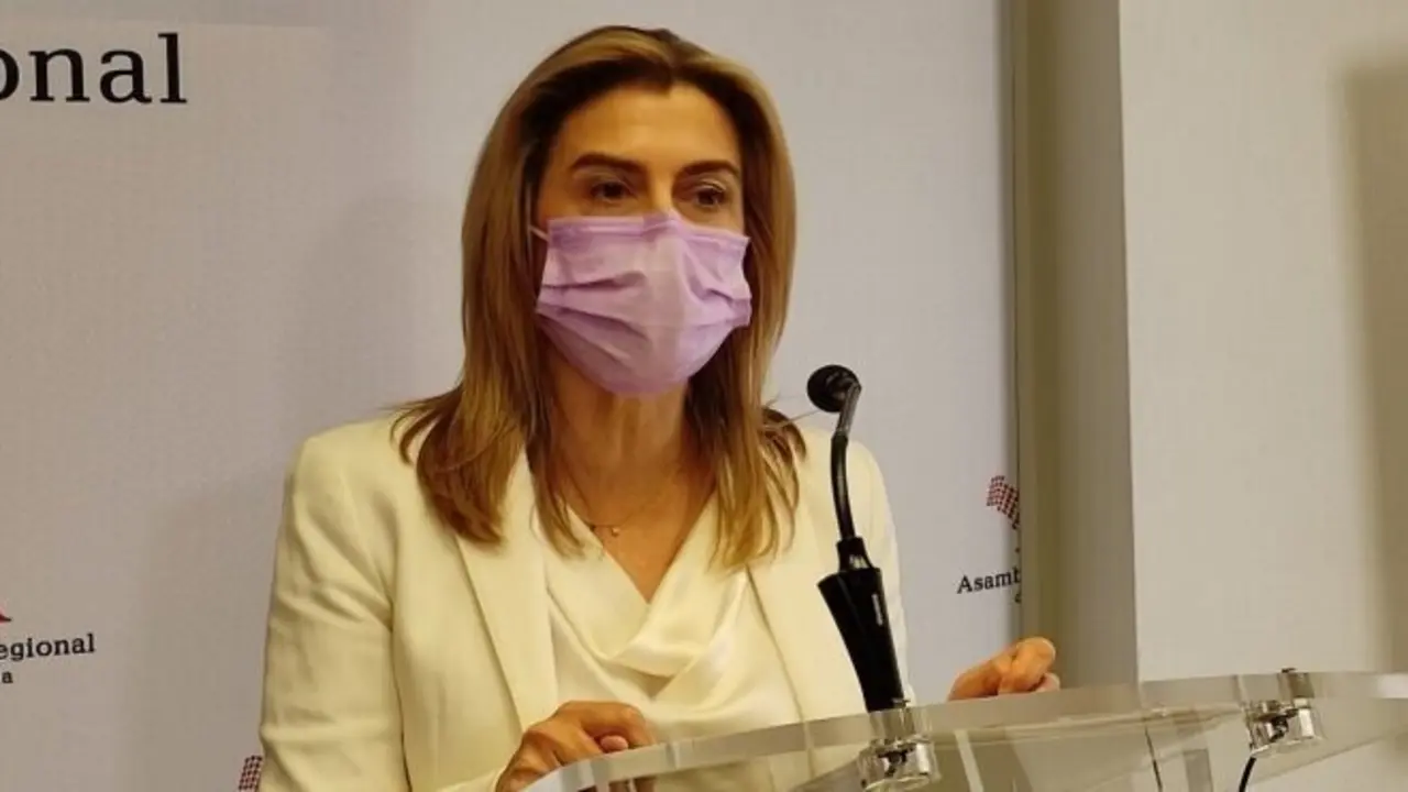 La diputada socialista Carmina Fern&aacute;ndez