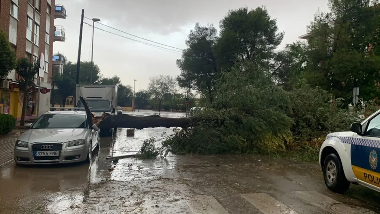 Da&ntilde;os provocados por la tormenta ca&iacute;da en Alc&aacute;zar.