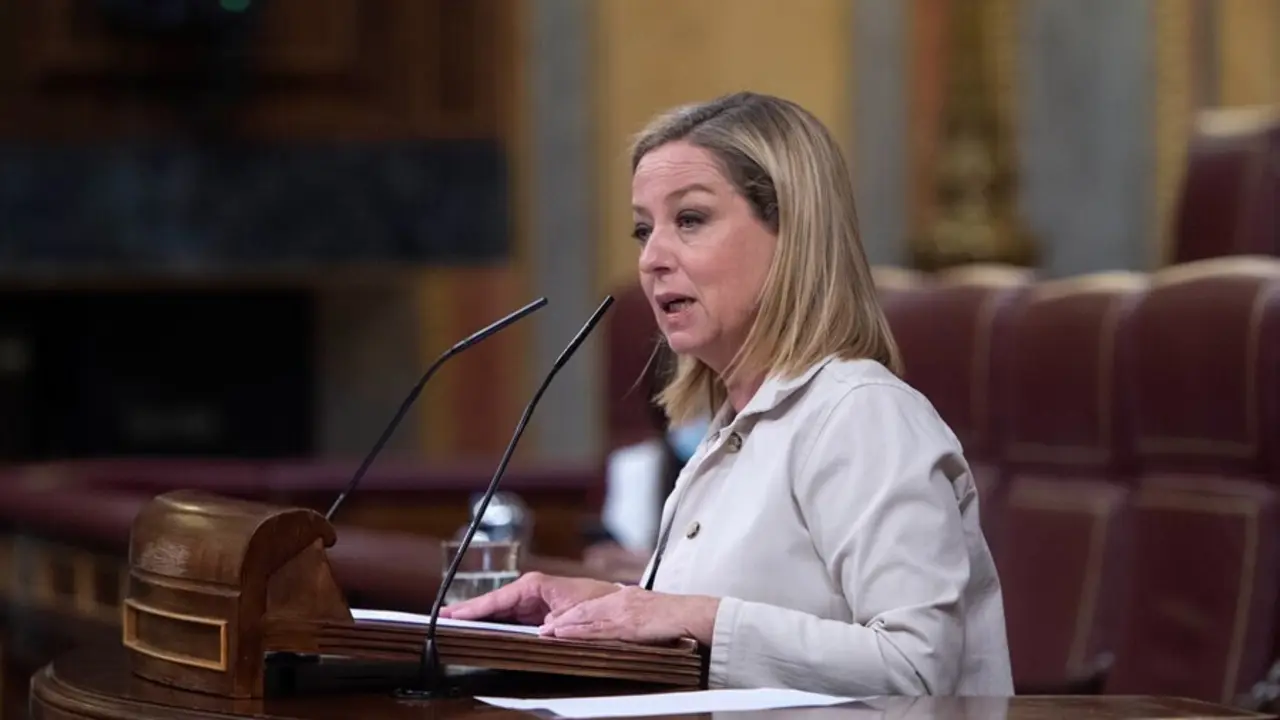 Archivo - La diputada de Coalici&oacute;n Canaria, Ana Oramas, interviene en una sesi&oacute;n plenaria en el Congreso de los Diputados