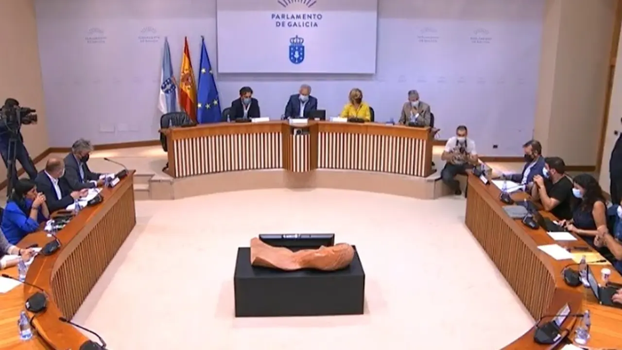 Reuni&oacute;n de la diputaci&oacute;n permanente del Parlamento