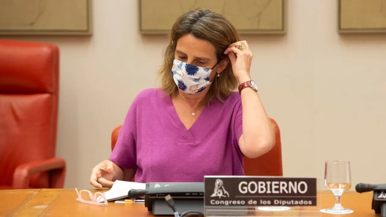 Archivo - La vicepresidenta cuarta del Gobierno y ministra de Transici&oacute;n Ecol&oacute;gica y Reto Demogr&aacute;fico, Teresa Ribera, comparece en la Comisi&oacute;n de Transici&oacute;n Ecol&oacute;gica y Reto Demogr&aacute;fico del Congreso