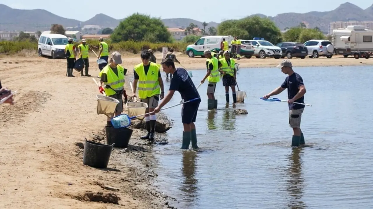 Archivo - Vuelven a abrir al ba&ntilde;o tras su limpieza seis de las playas afectadas por la aparici&oacute;n de peces muertos en el Mar Menor