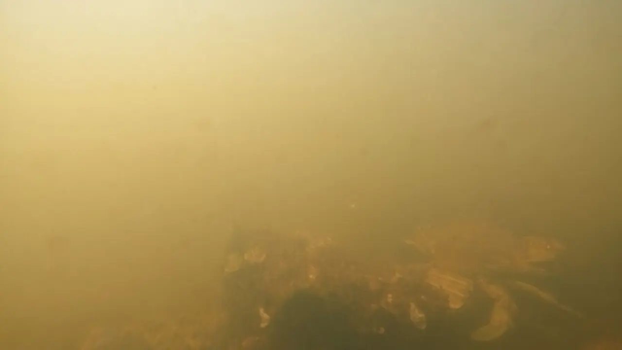 Im&aacute;genes del viernes 20 de agosto al norte de la isla del Sujeto (cubeta sur) ANSE WWF.JPG