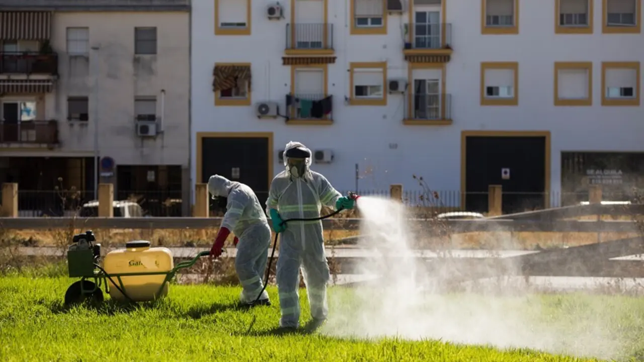 Archivo - Imagen de archivo de fumigaciones contra los mosquitos transmisores del virus del Nilo