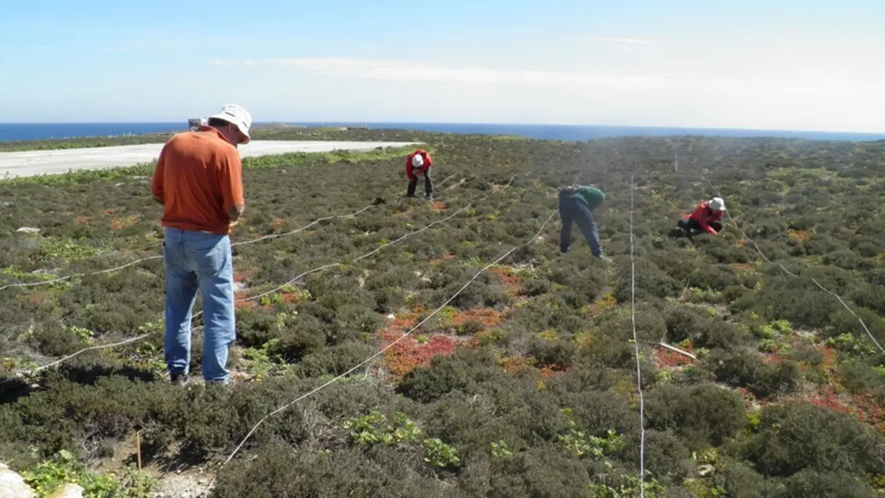 Archivo - T&eacute;cnicos de Medio Ambiente trabajan en la Isla de Albor&aacute;n         